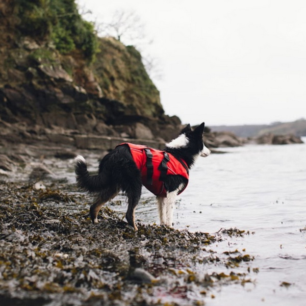 2024 Red Paddle Co Dog Buoyancy Aid - Red